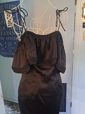 The Garment Los Angeles Ruffle Dress, Sz 12